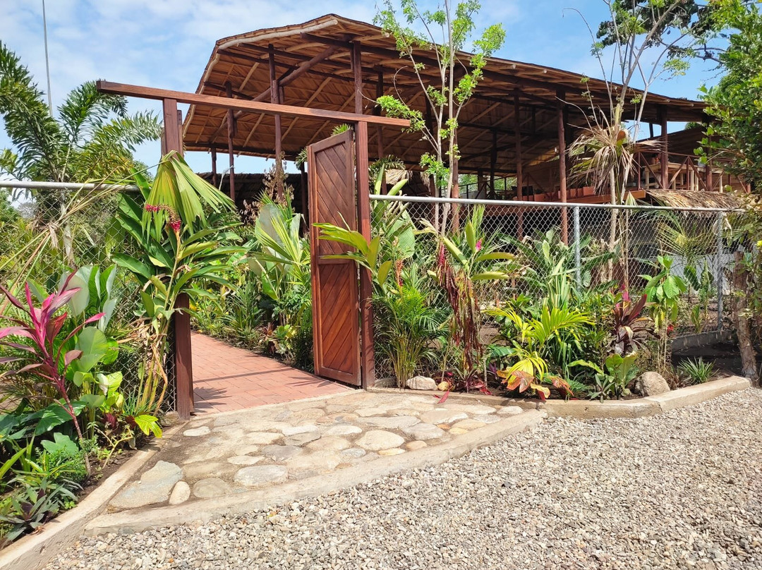 Buritaca餐馆和美食-Cafe Holss