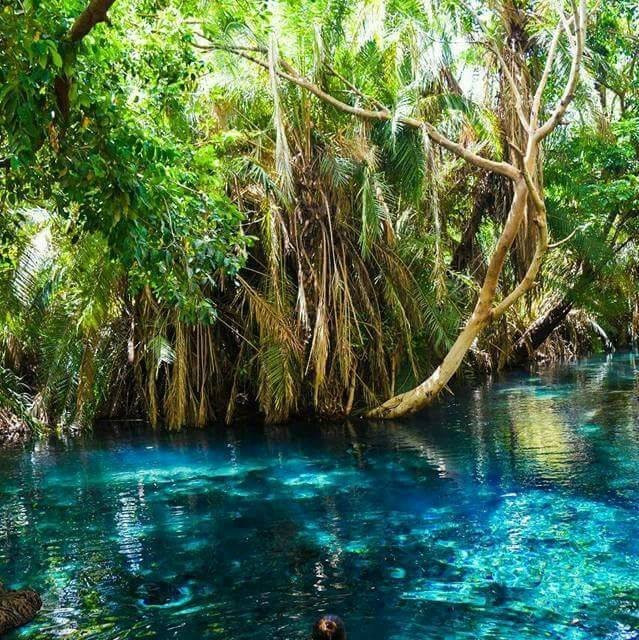 Haleluya Tours & Safaris-乞力马扎罗山国家公园必去景点