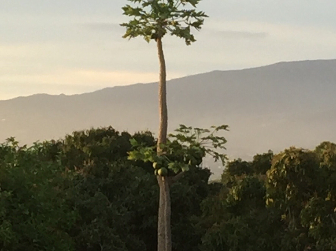 La Cour Mont-Vert主图