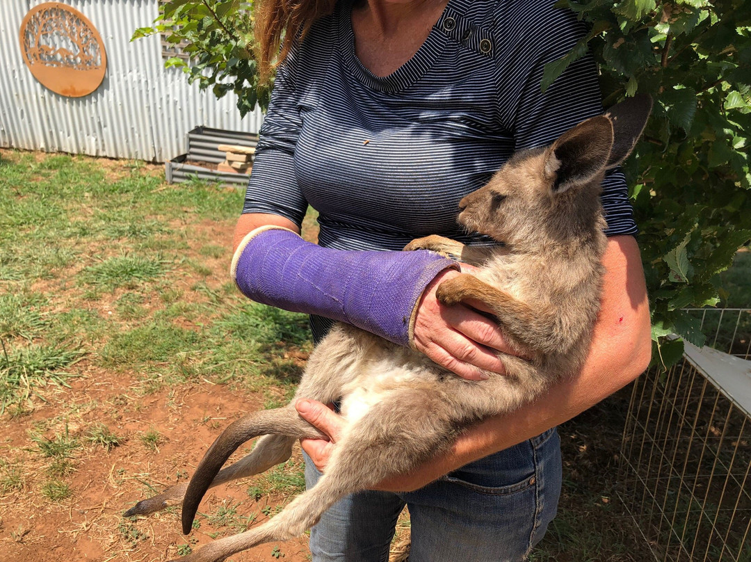 Taralga Wildlife Park-Taralga必去景点