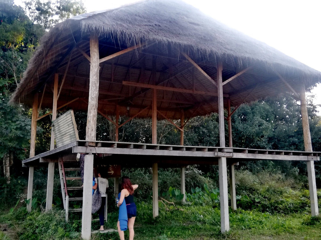 Yoga in Vang Vieng景点图片