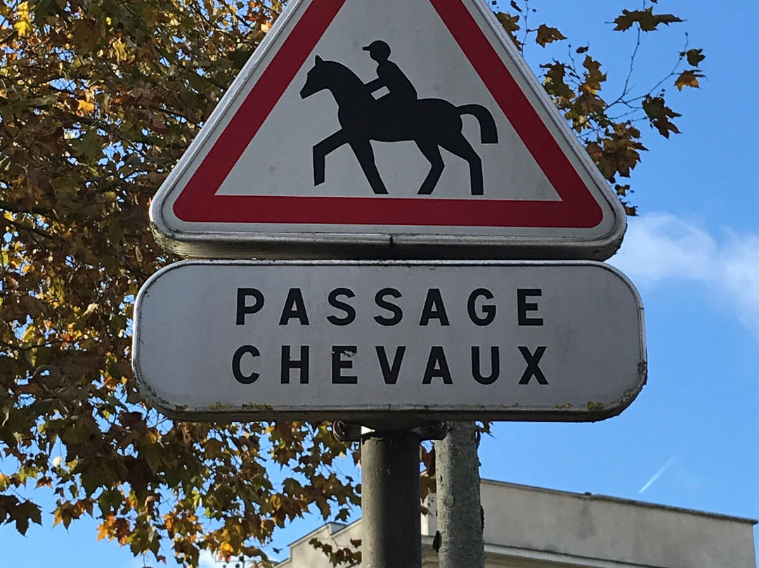 Horse Holidays France景点图片