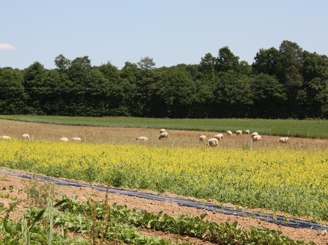 La Ferme de Gorgeat主图