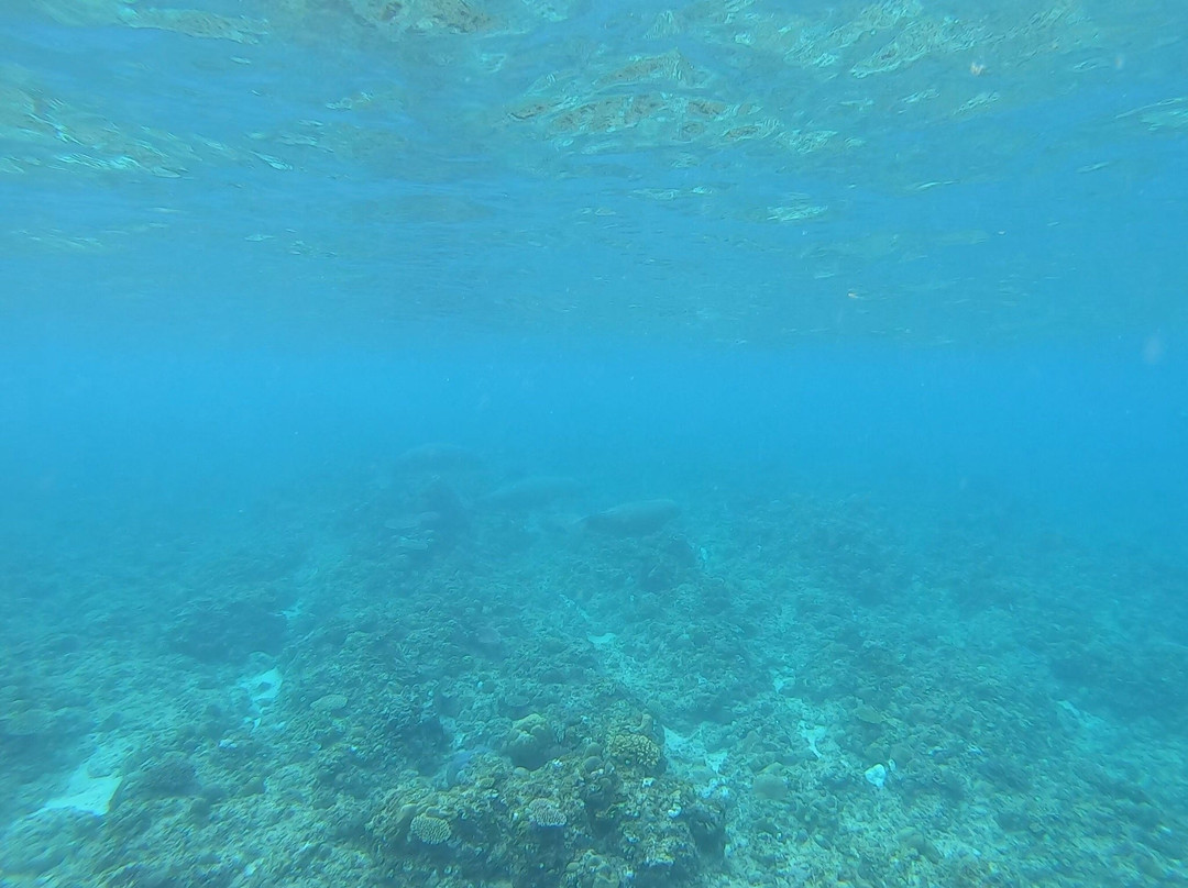 Vicky's Guesthouse主图