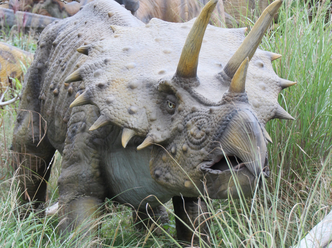 West Midlands Safari Park-Bewdley必去景点