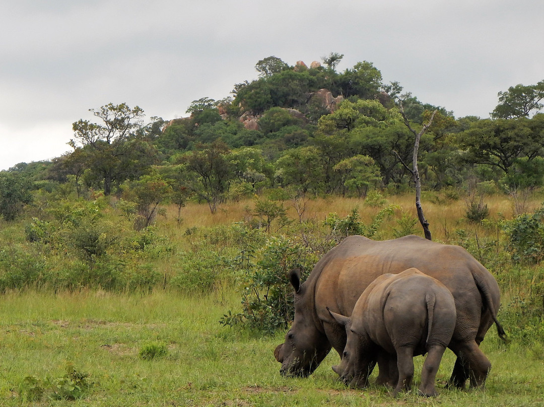 Matobo National Park景点图片