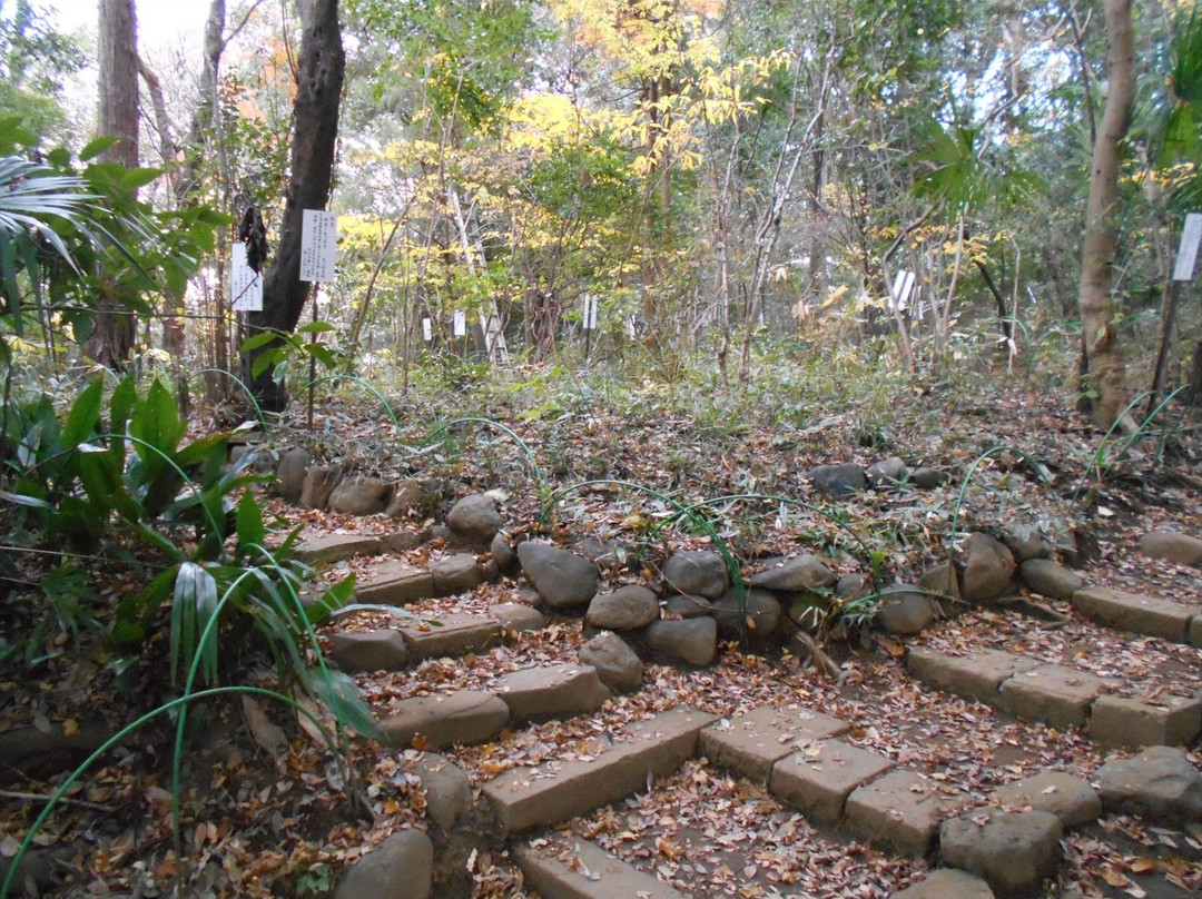Manyo Botanical Garden-国分寺市必去景点