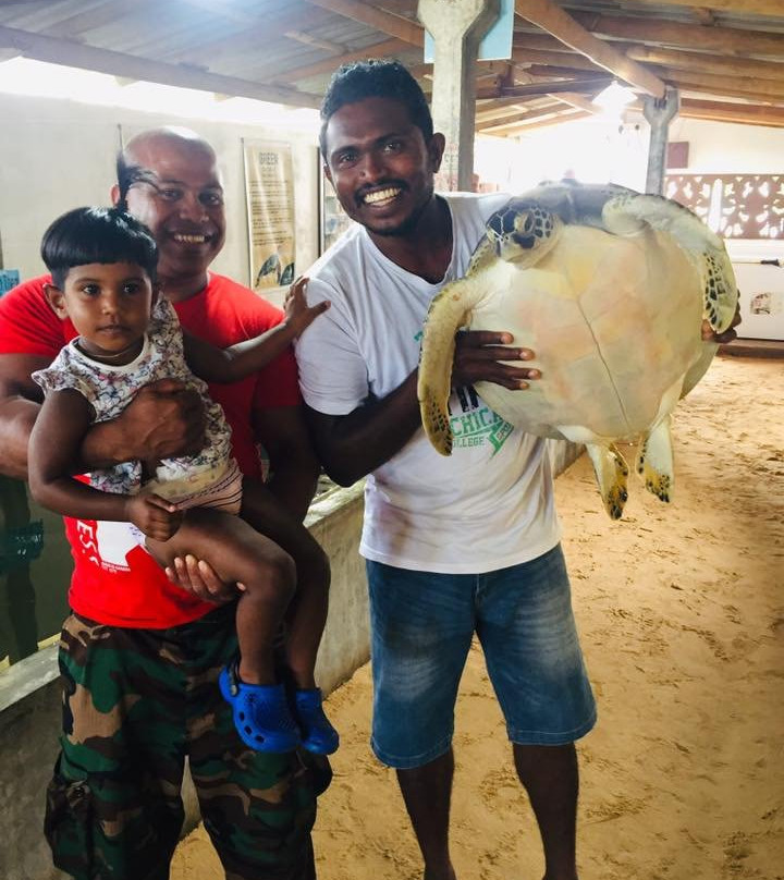 黑卡杜瓦海龟孵化场-希克杜沃必去景点