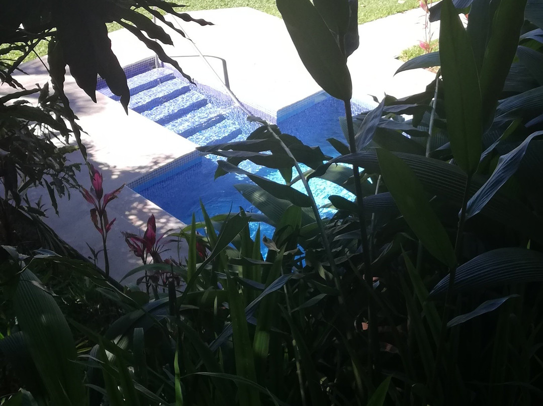 B&B Garden Grecia主图