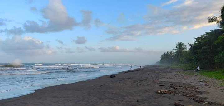 Hotel El Icaco Tortuguero主图
