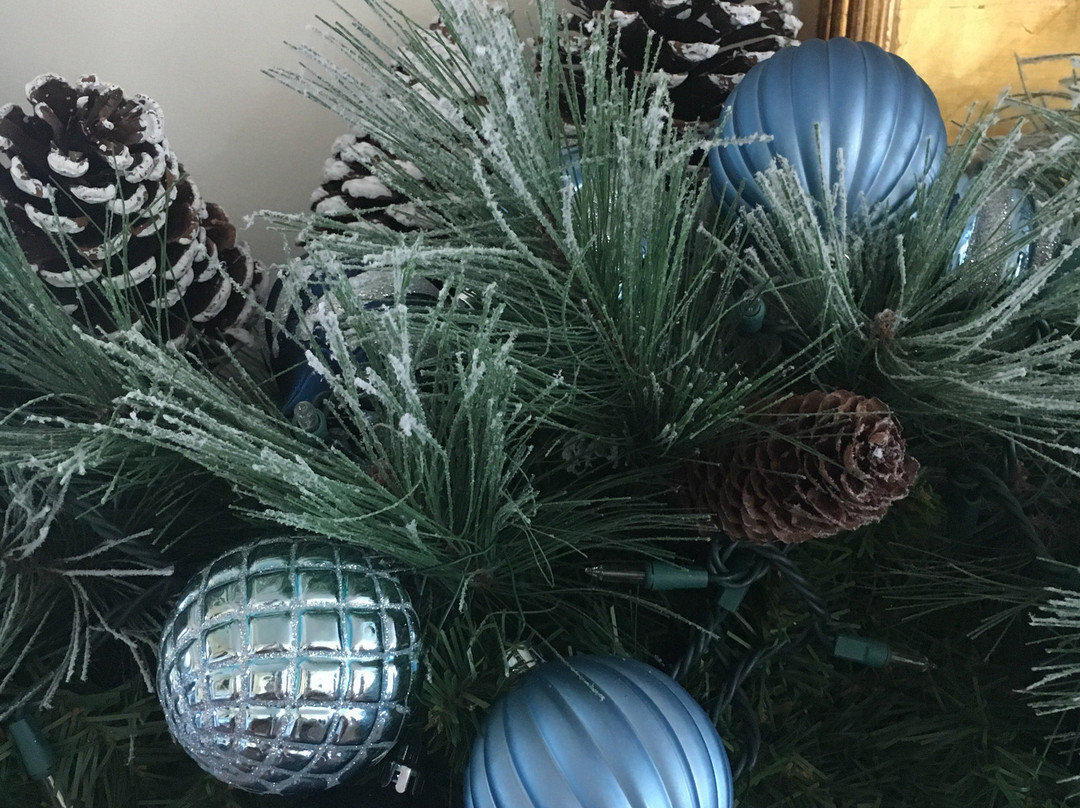 Linden Place Mansion-布里斯托尔必去景点