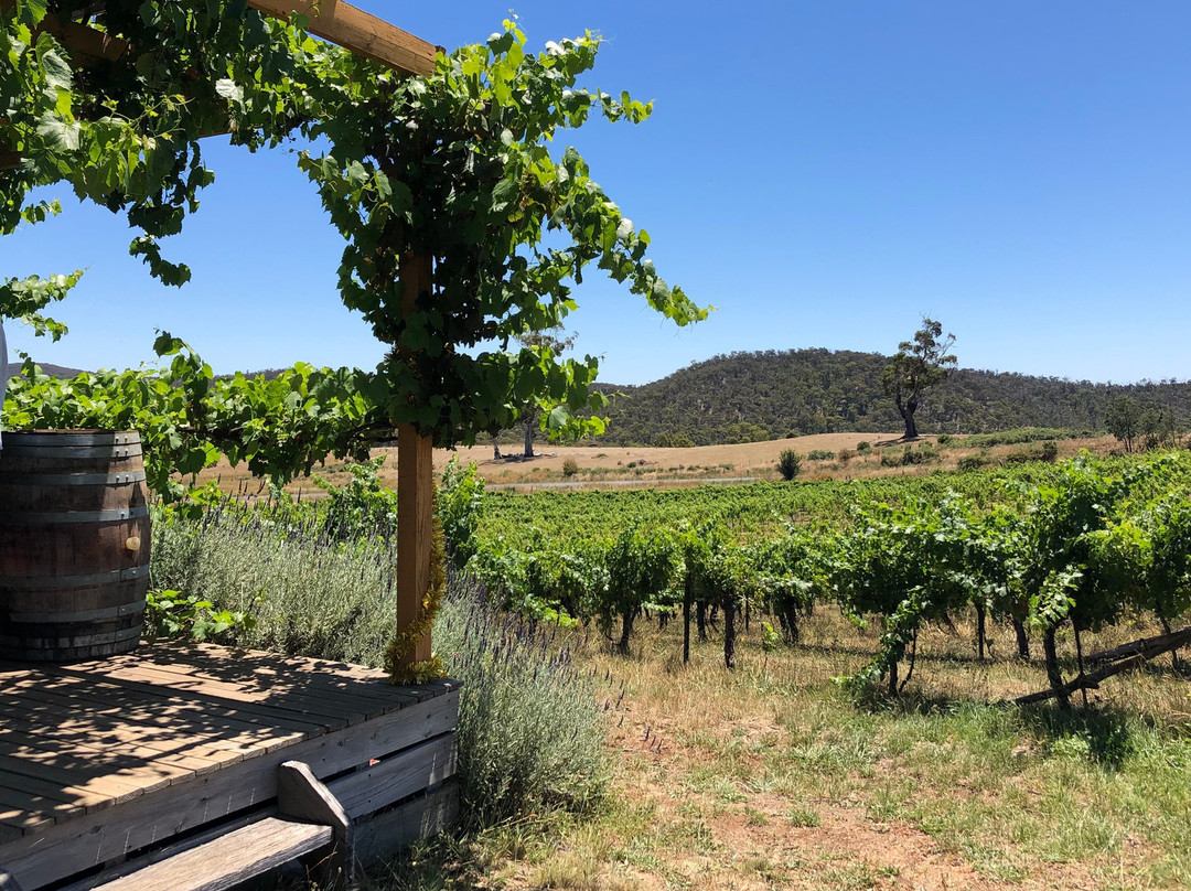 Zig Zag Road Wines-Drummond North必去景点