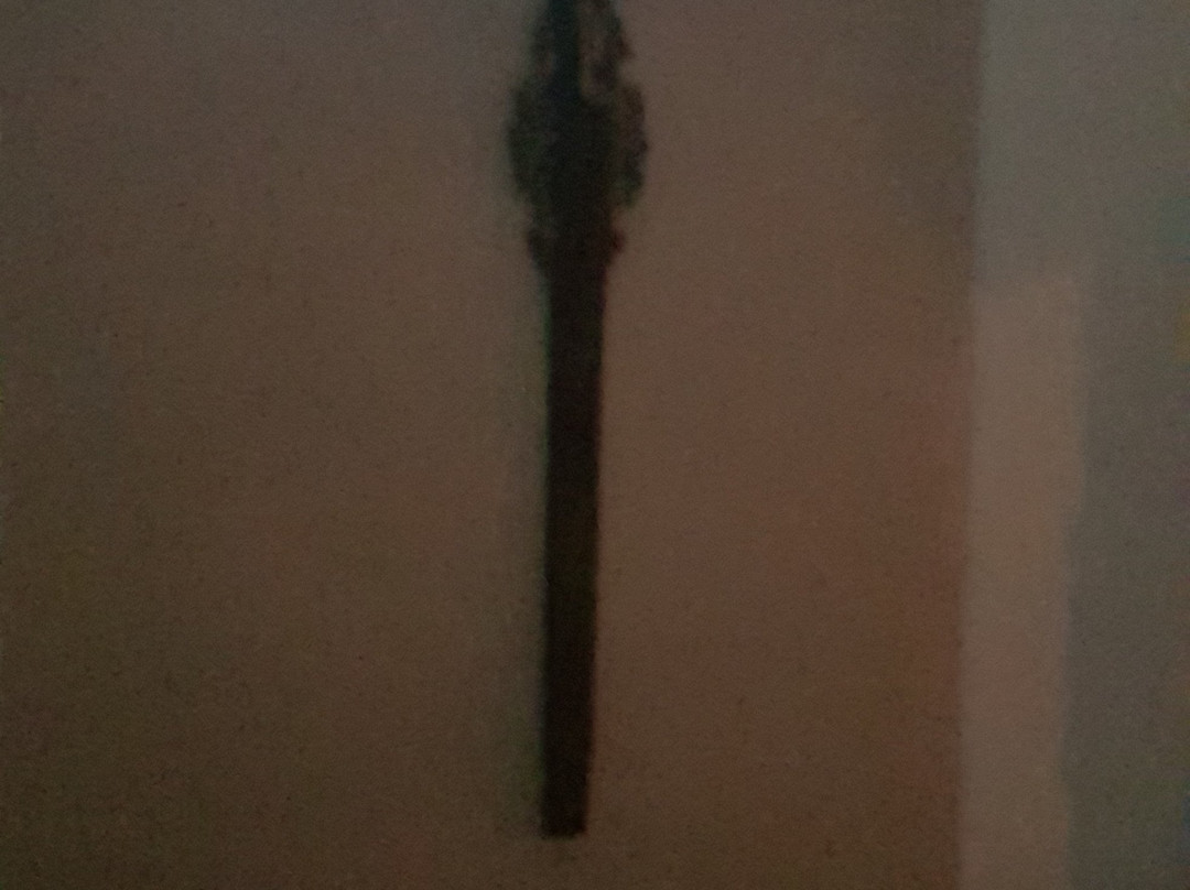 Chiesa di San Pietro in Verzolo-帕维亚必去景点