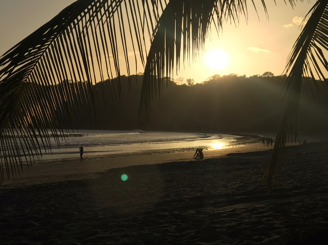 Surf Dojo景点图片