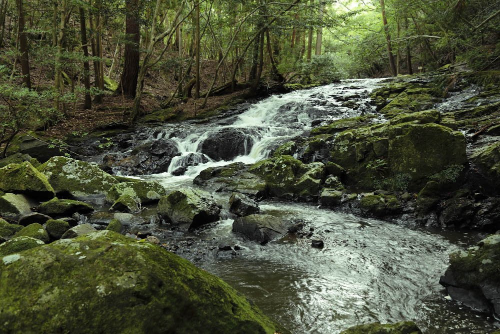 Ruri Valley-南丹市必去景点