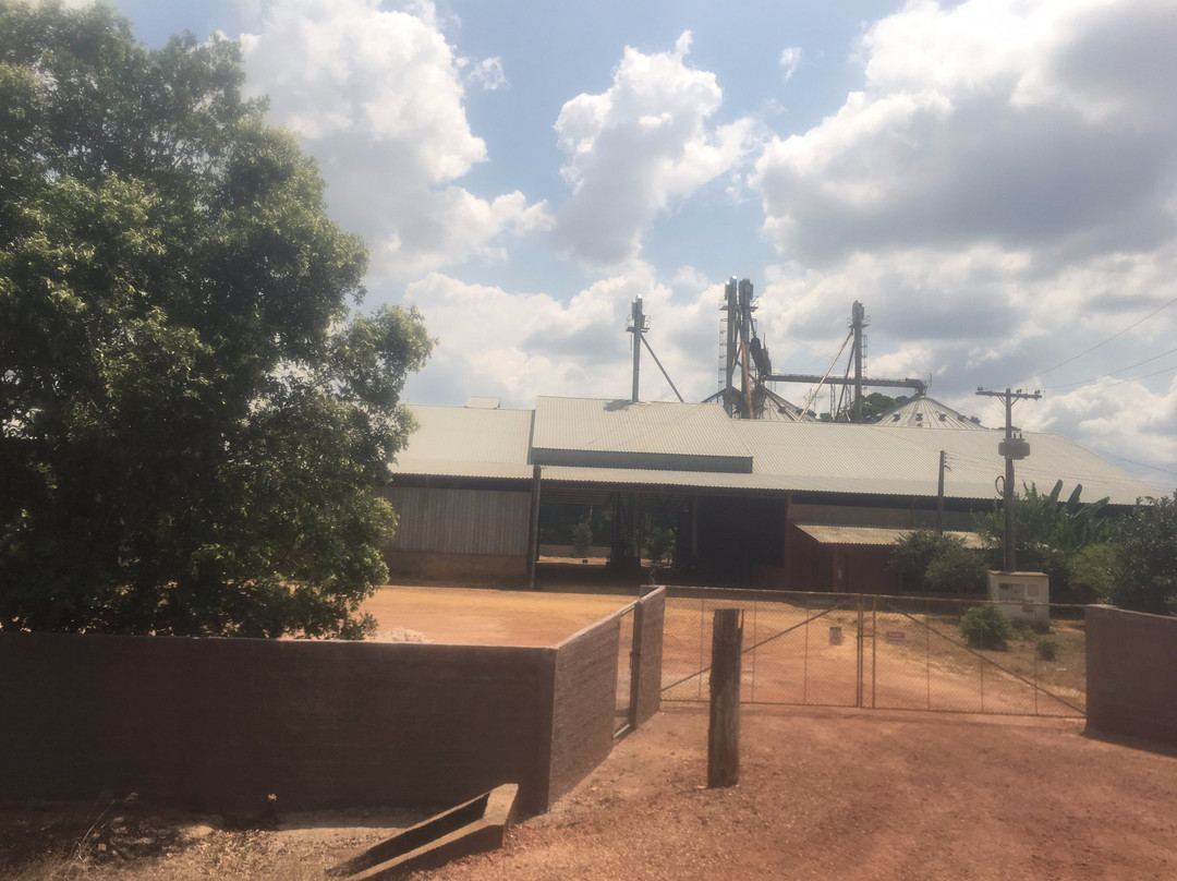 Belterra Plantation-Belterra必去景点