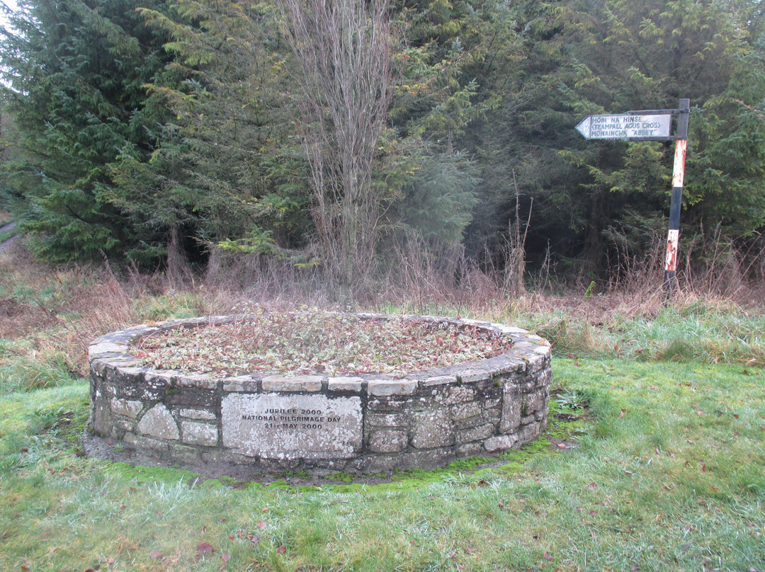Monaincha Abbey-Roscrea必去景点