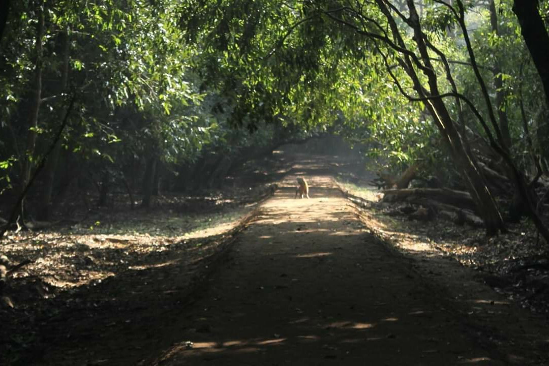 Bhitarkanika Wildlife Sanctuary景点图片