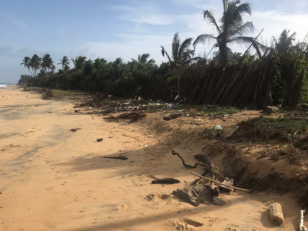 The Beach Boutique主图