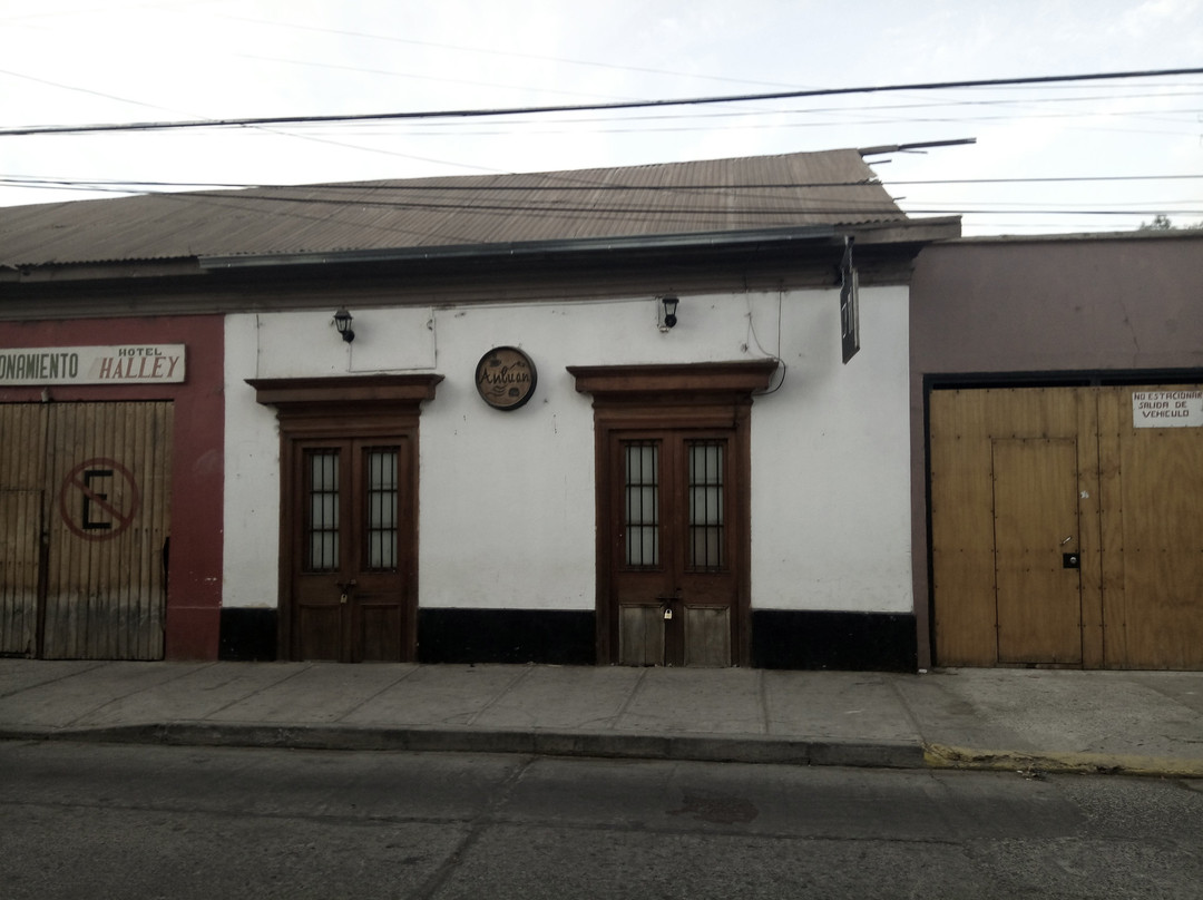 Torre Bauer-Vicuna必去景点