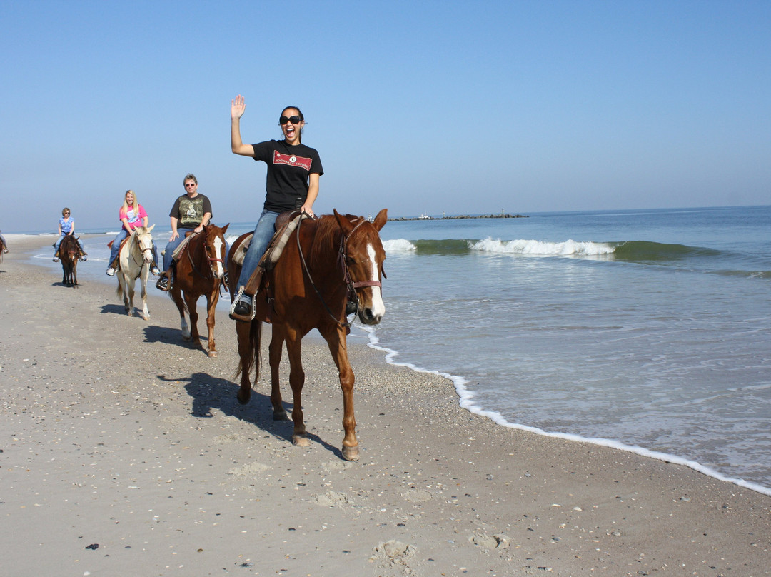 Kelly Seahorse Ranch-阿米莉亚岛必去景点