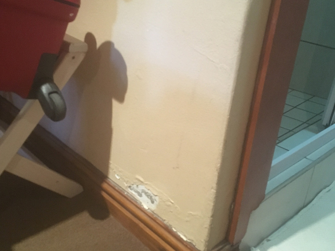 The Oak and Vine Guest House主图