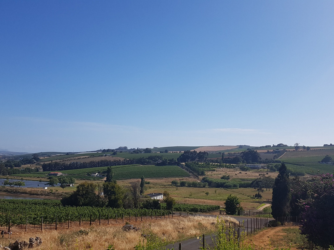 Devon Valley Hotel主图