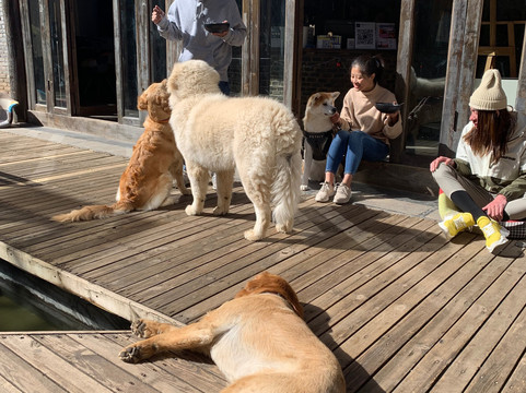 丽江背包十年青年旅舍主图