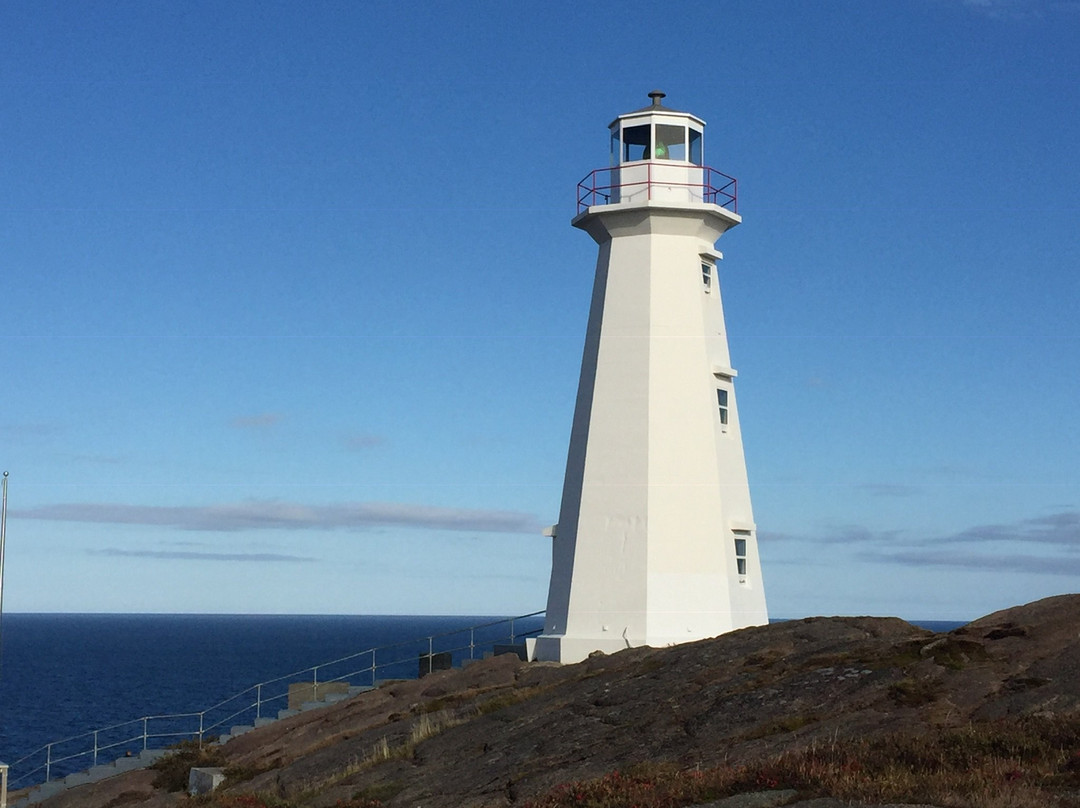 Just Landed Tours-圣约翰必去景点