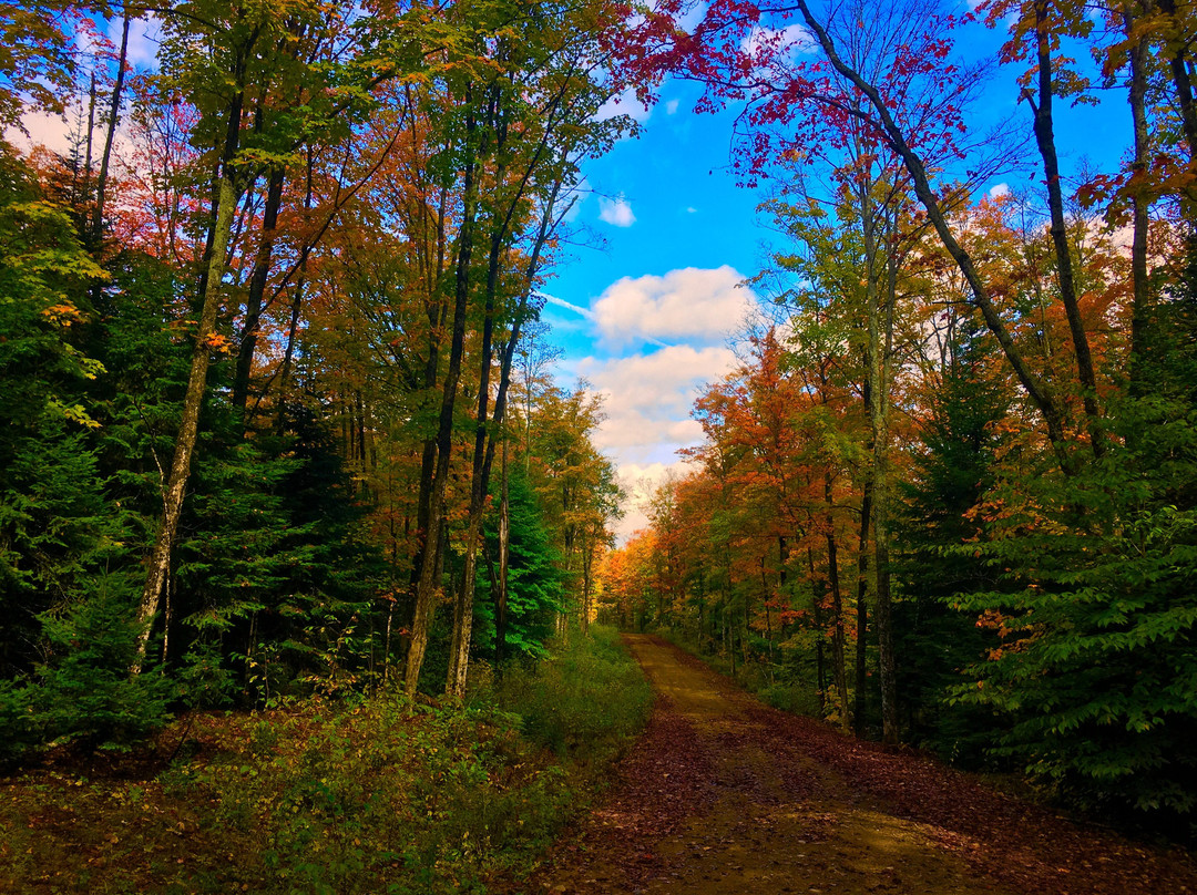 Limberlost Forest & Wildlife Reserve-亨茨维尔必去景点