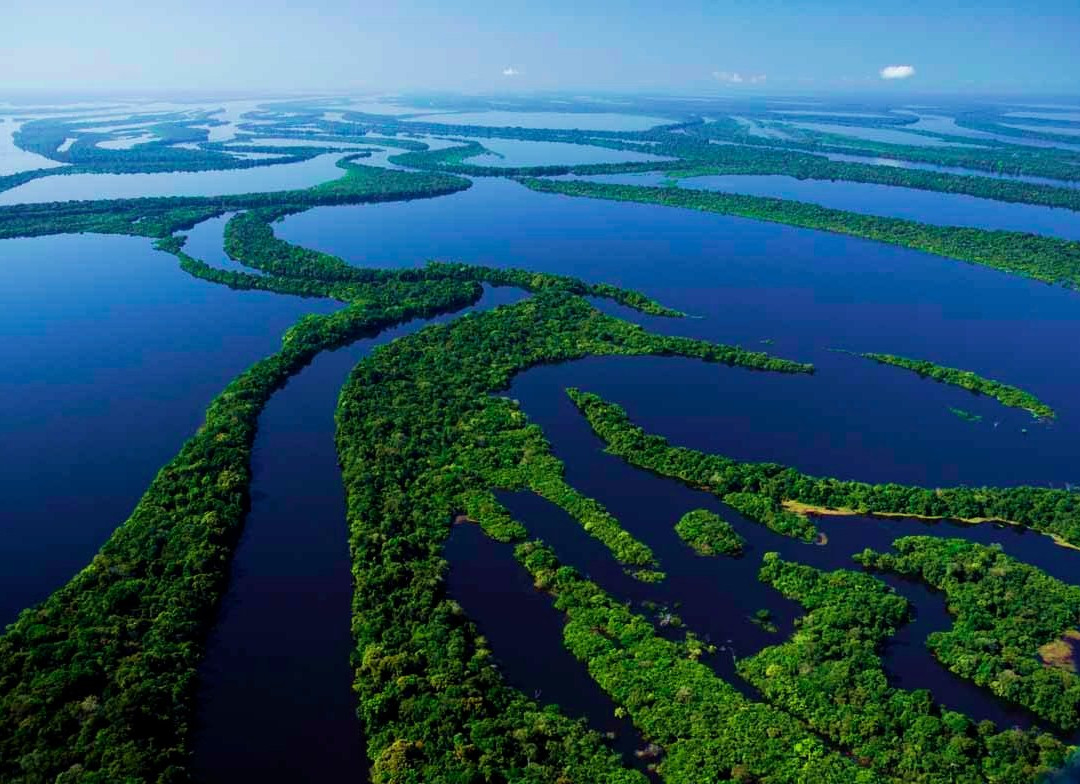Novo Airao旅游景点-Parque Nacional de Anavilhanas
