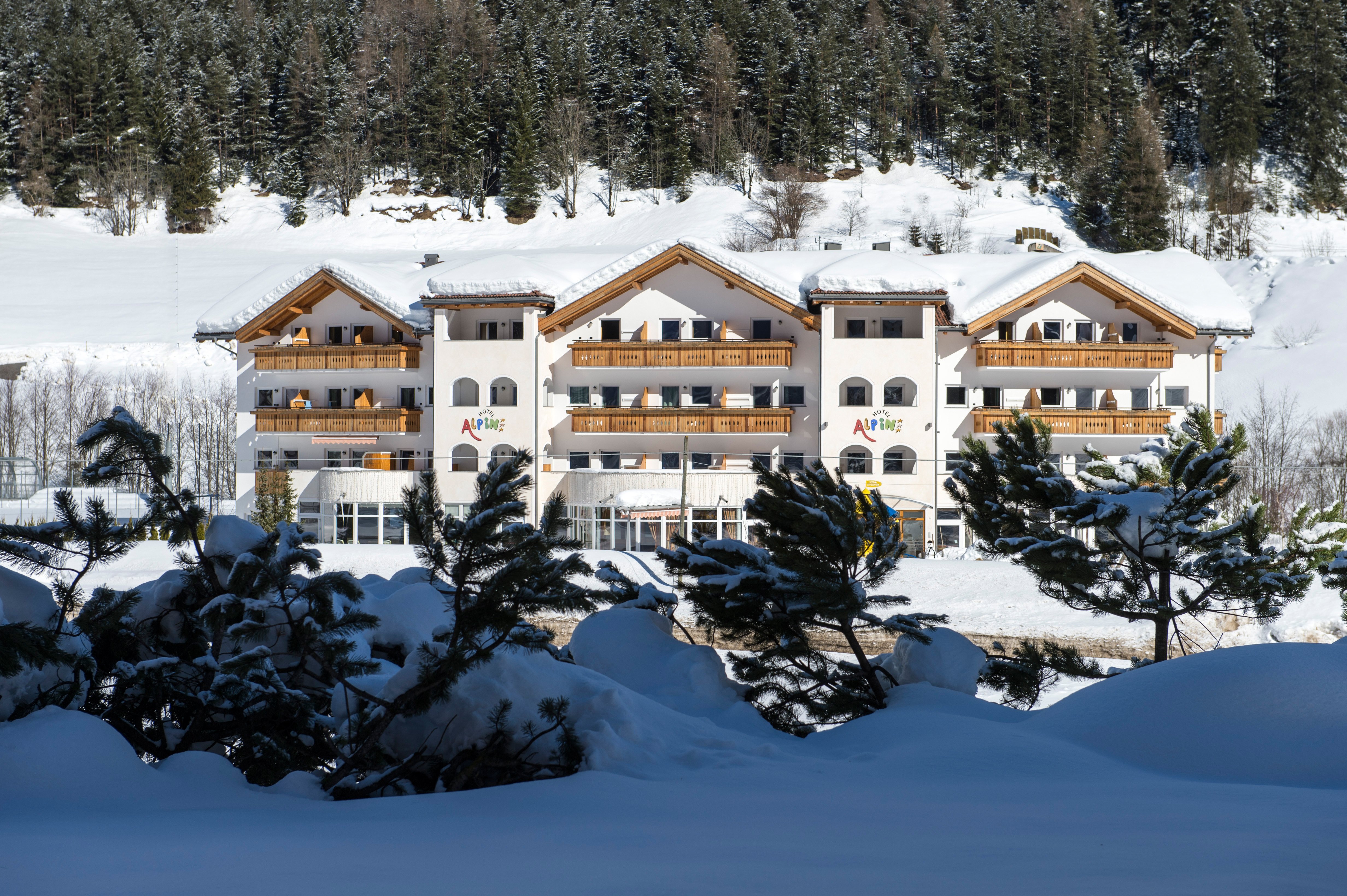 Hotel Alpin-官方