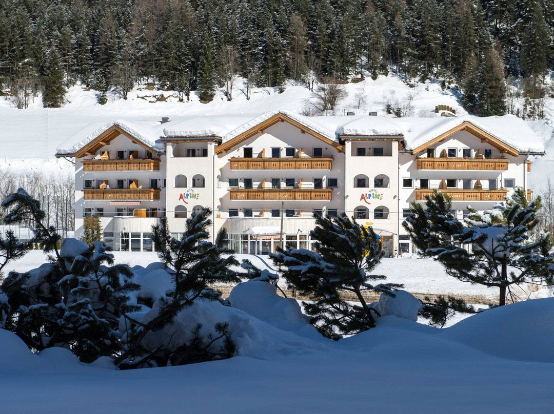 Hotel Alpin主图