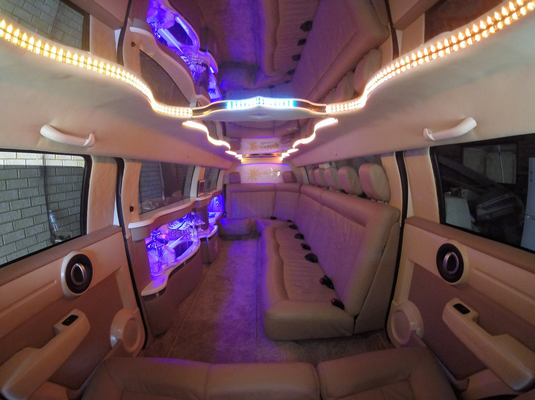 Bling Limousines景点图片