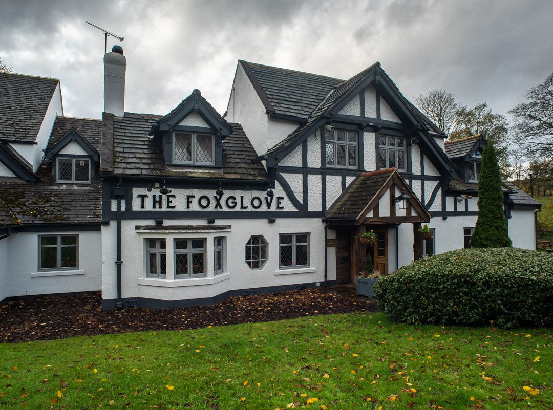 The Foxglove