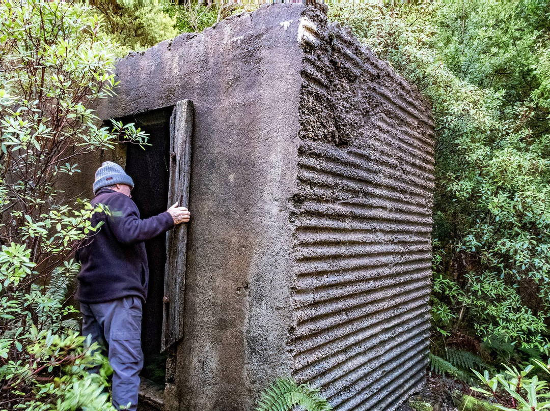 Magnet Tarkine Tours-Waratah必去景点