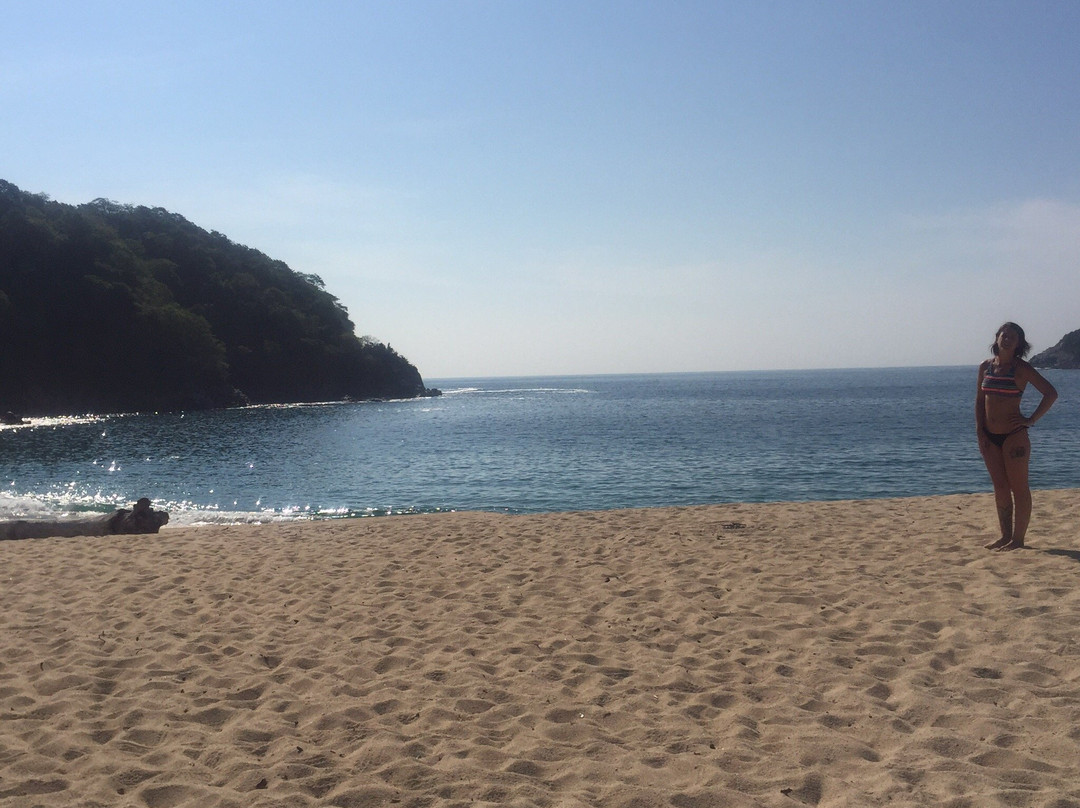 Playa Organo-瓦图尔科必去景点