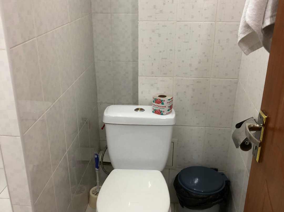 Hotel Almaty Transit主图