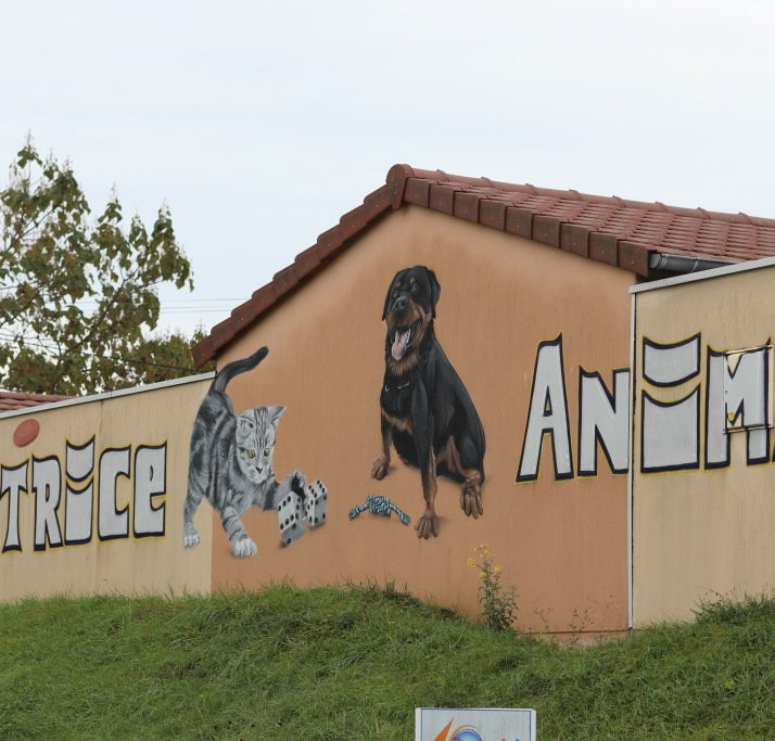 Fresque  Societe Protectrice Des Animaux-Chatenoy-le-Royal必去景点