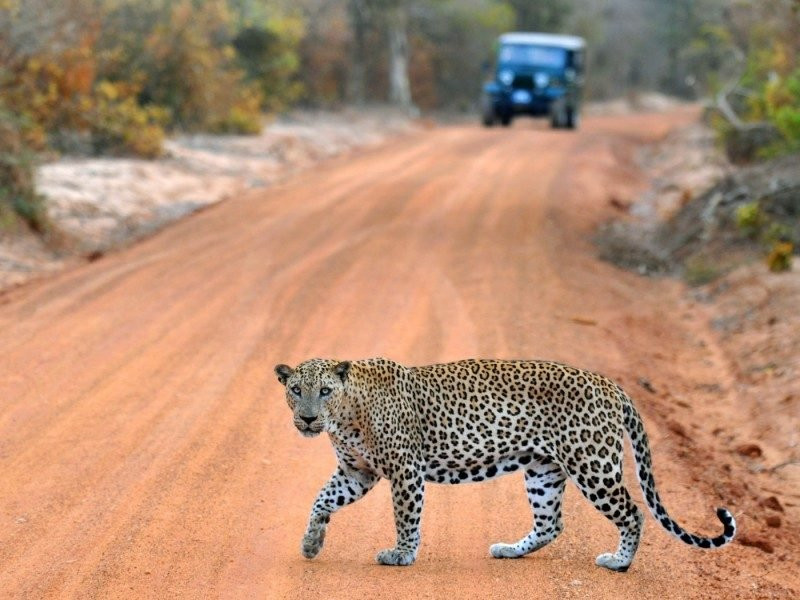 Classical Lanka Tours-Trincomalee必去景点