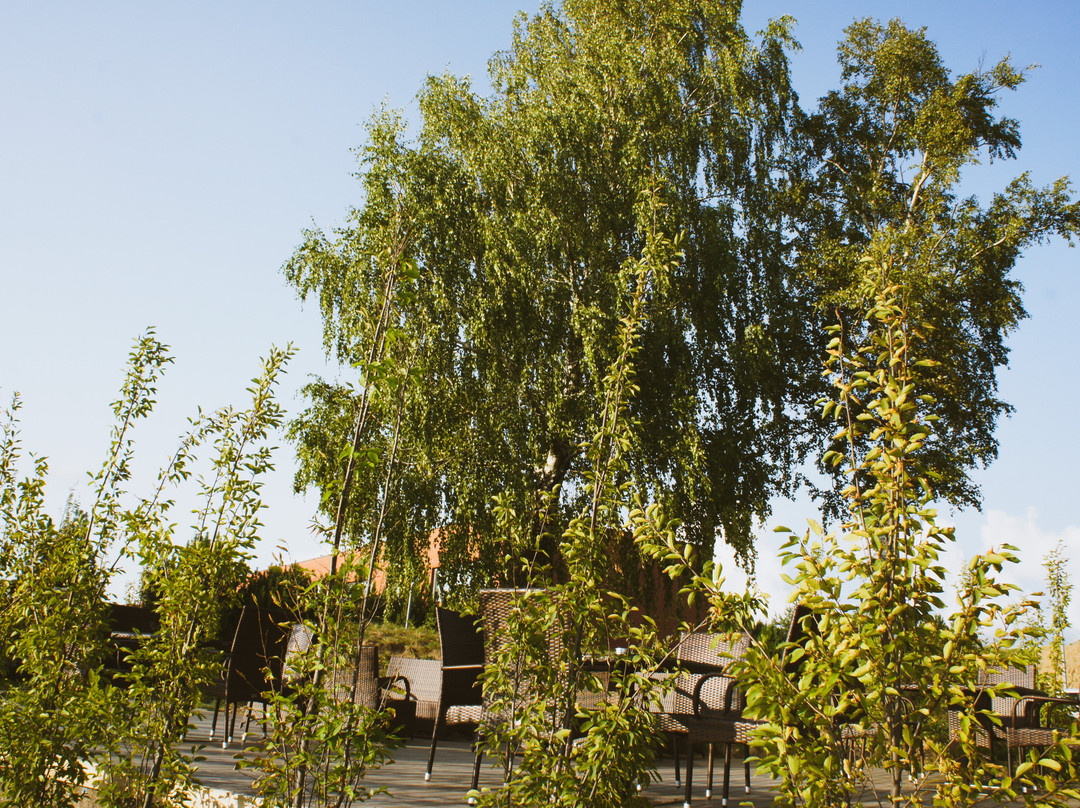 Zaliasis Slenis Hotel主图