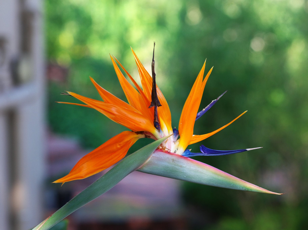 特拉迪旅舍主图