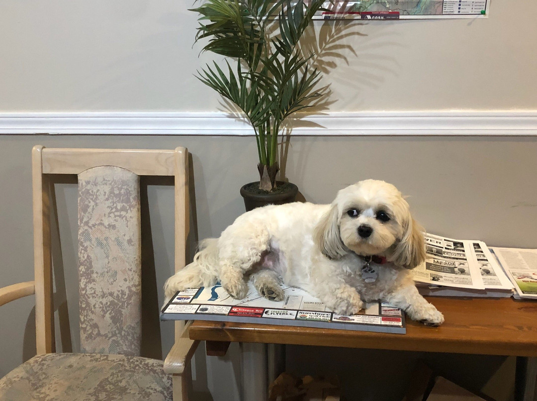 Chase Country Inn Motel主图