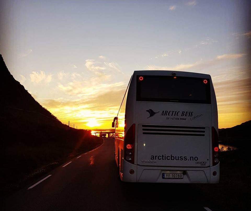Arctic Buss Lofoten景点图片