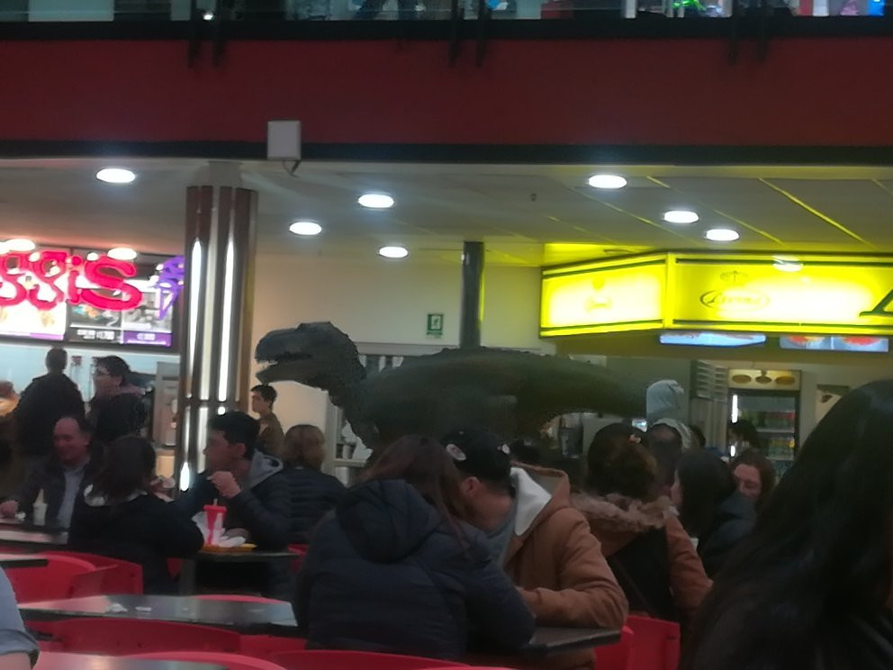 Galeria Zona Franca景点图片