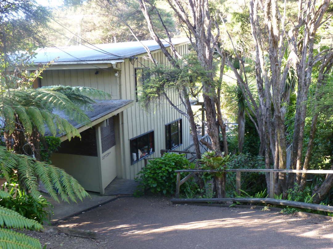 Waiheke Punga Lodge主图