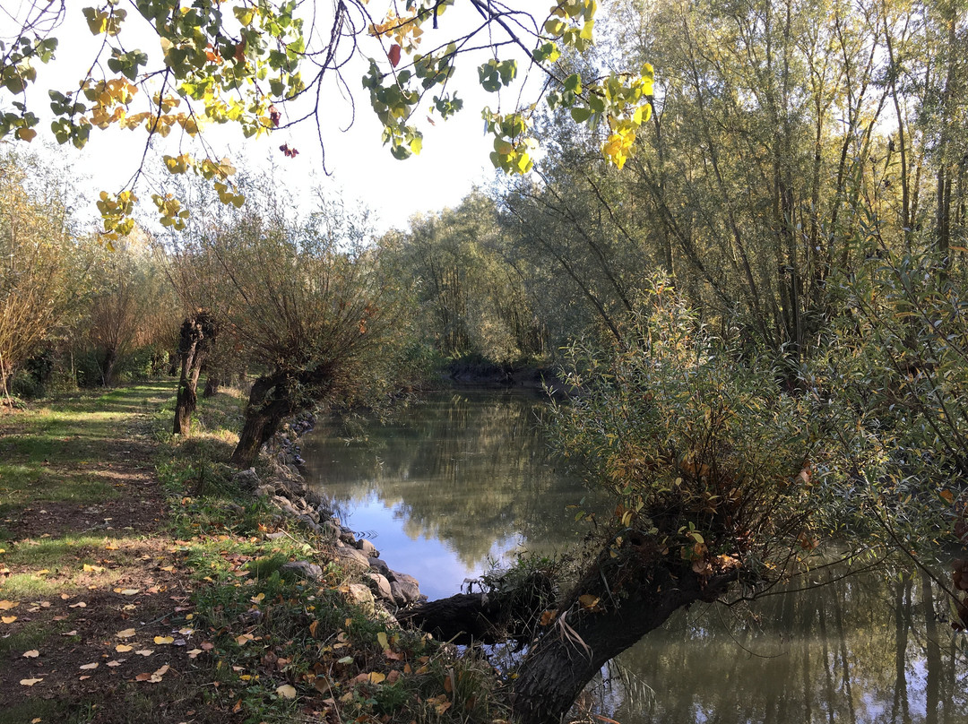 Rhoonse grienden-Rhoon必去景点