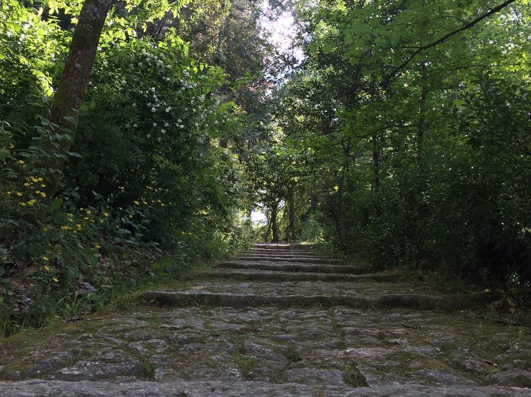 Parque Florestal de Amarante景点图片