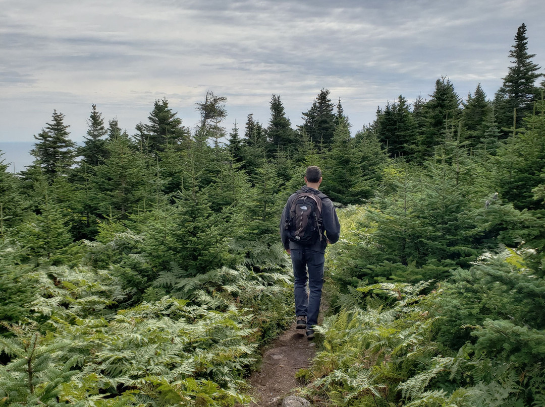 Kauzmann Trail-Bay St. Lawrence必去景点