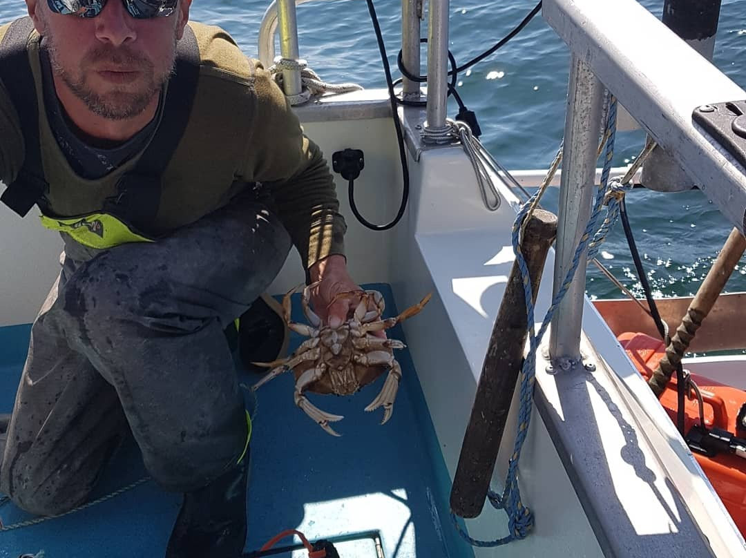 Sea West Fishing Charters景点图片